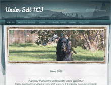 Tablet Screenshot of gordonsetter.weebly.com