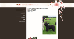 Desktop Screenshot of chavellbriards.weebly.com