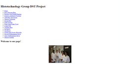 Desktop Screenshot of dstgroupproject.weebly.com