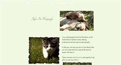 Desktop Screenshot of fidgetpetphotography.weebly.com