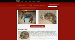 Desktop Screenshot of felinefanatics.weebly.com