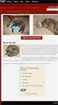 Mobile Screenshot of felinefanatics.weebly.com
