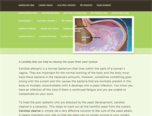 Tablet Screenshot of candidadietblog.weebly.com