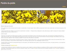Tablet Screenshot of perdredupoids.weebly.com