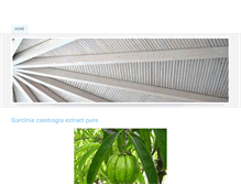 Tablet Screenshot of amazondieteffects.weebly.com
