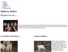 Tablet Screenshot of mulberryhollow.weebly.com