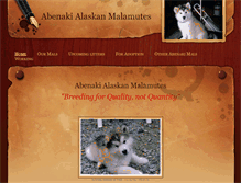 Tablet Screenshot of abenakimalamutes.weebly.com