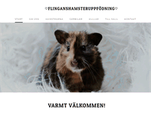 Tablet Screenshot of flinganshamstrar.weebly.com