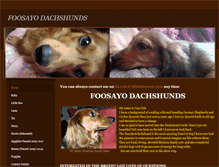 Tablet Screenshot of foosayodachshunds.weebly.com