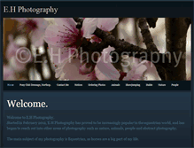 Tablet Screenshot of eh-photography.weebly.com