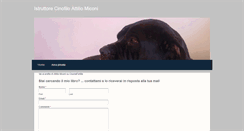 Desktop Screenshot of istruttorecinofio.weebly.com