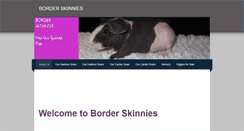 Desktop Screenshot of borderskinnies.weebly.com