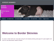 Tablet Screenshot of borderskinnies.weebly.com