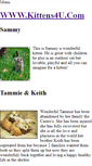 Mobile Screenshot of freekittens4u.weebly.com
