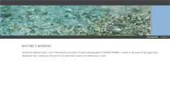 Desktop Screenshot of naturesmoment.weebly.com