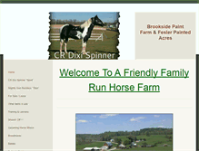 Tablet Screenshot of brooksidepaintfarm.weebly.com