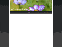 Tablet Screenshot of andrealacroixphotography.weebly.com