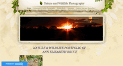 Desktop Screenshot of natureandwildlife.weebly.com