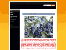 Tablet Screenshot of empathywork.weebly.com
