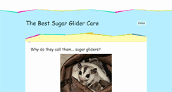 Desktop Screenshot of bestsugarglidercare.weebly.com