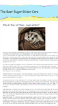 Mobile Screenshot of bestsugarglidercare.weebly.com