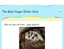 Tablet Screenshot of bestsugarglidercare.weebly.com