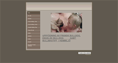 Desktop Screenshot of birddogs.weebly.com