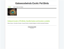 Tablet Screenshot of galewoodwinds.weebly.com