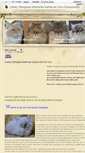 Mobile Screenshot of cattery-bereguinya.weebly.com