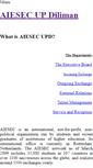 Mobile Screenshot of aiesecupd.weebly.com