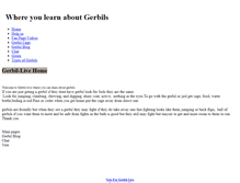 Tablet Screenshot of gerbil-live.weebly.com