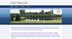 Desktop Screenshot of cedarvalleylabs.weebly.com