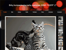 Tablet Screenshot of kingtigers.weebly.com