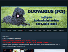 Tablet Screenshot of duovarius.weebly.com