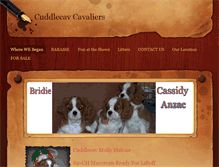 Tablet Screenshot of cuddlecav.weebly.com
