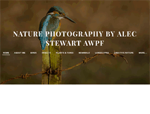 Tablet Screenshot of alecstewart.weebly.com