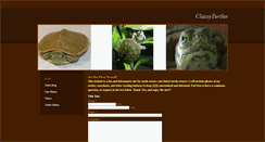 Desktop Screenshot of classyturtles.weebly.com