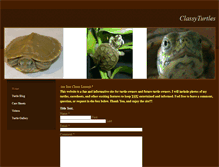 Tablet Screenshot of classyturtles.weebly.com