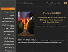 Tablet Screenshot of bor-consulting.weebly.com