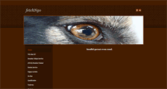 Desktop Screenshot of fetchngo.weebly.com