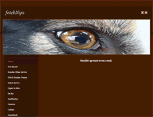 Tablet Screenshot of fetchngo.weebly.com