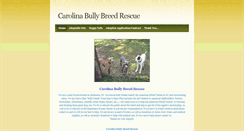 Desktop Screenshot of carolinabullybreedrescue.weebly.com