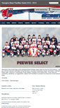 Mobile Screenshot of blazepeeweeselect.weebly.com