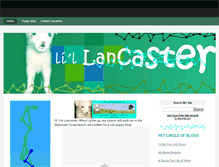 Tablet Screenshot of lillancaster.weebly.com