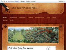 Tablet Screenshot of catina.weebly.com