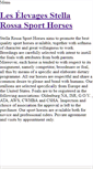 Mobile Screenshot of elevagestellarossasporthorses.weebly.com