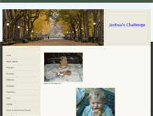 Tablet Screenshot of joshuaschallenge.weebly.com