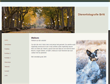 Tablet Screenshot of dierenfotografiebritt.weebly.com