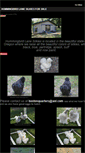 Mobile Screenshot of hummingbirdlanesilkies.weebly.com