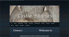 Desktop Screenshot of castlebunnies.weebly.com